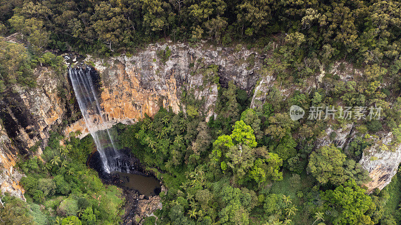 Purlingbrook Falls, Springbrook NP，靠近黄金海岸，澳大利亚